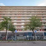 Rent 4 bedroom apartment of 94 m² in Voorhof-Hoogbouw