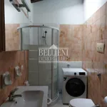 Rent 1 bedroom apartment of 70 m² in vicenza