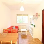 Rent a room in madrid