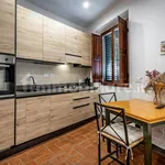 Rent 1 bedroom apartment of 30 m² in Florence