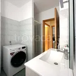 Rent 3 bedroom apartment of 99 m² in Milano