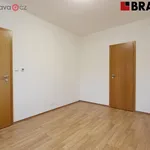 Rent 2 bedroom apartment of 39 m² in Brno