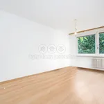 Rent 2 bedroom apartment of 42 m² in Prague