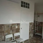 Rent 1 bedroom apartment of 40 m² in Bologna