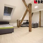 Rent 1 bedroom apartment of 50 m² in Brno