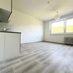 Pronájem bytu 2+kk 46m²