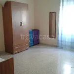 Rent 4 bedroom apartment of 100 m² in Campobasso