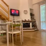 Rent 2 bedroom apartment of 50 m² in Seggiano