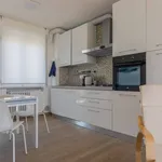 Rent 3 bedroom apartment of 70 m² in Roseto degli Abruzzi