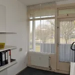 Huur 3 slaapkamer appartement van 70 m² in Tilburg