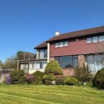 Rent 4 bedroom house in Scotland