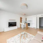 Rent 1 bedroom apartment in Prague