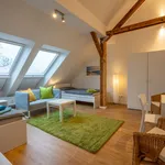 Rent 2 bedroom apartment of 71 m² in Essen