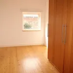 Rent 1 bedroom flat in Norwich