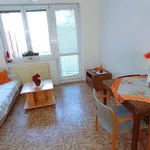 Rent 2 bedroom apartment of 42 m² in České Budějovice