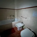 Rent 3 bedroom apartment of 100 m² in Modena