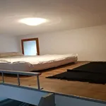  appartement avec 1 chambre(s) en location à NARBONNE