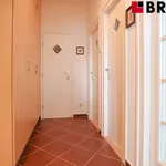 Rent 1 bedroom apartment of 35 m² in Brno