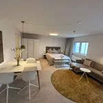 Rent 1 bedroom apartment of 42 m² in Munich