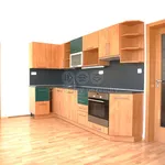 Rent 3 bedroom apartment of 66 m² in Dvůr Králové nad Labem