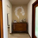 Rent 3 bedroom apartment in Milan