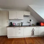 Rent 2 bedroom apartment of 50 m² in brussels