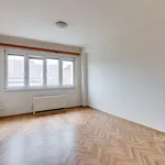 Rent 1 bedroom apartment in Praha 3