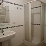 Rent 1 bedroom apartment of 35 m² in Roma