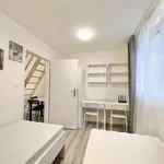 Rent 1 bedroom apartment in Brno