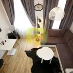 Rent 1 bedroom apartment of 25 m² in Praha