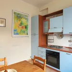 Rent 1 bedroom apartment in milan