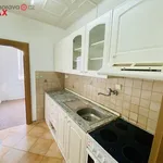 Rent 4 bedroom apartment of 58 m² in Zubří