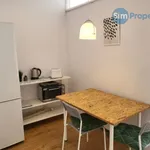 Rent 1 bedroom apartment of 10 m² in Brno