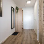 Rent 1 bedroom apartment of 30 m² in Nürnberg