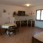 Rent 8 bedroom apartment of 220 m² in Capoliveri