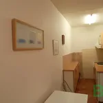 Rent 2 bedroom apartment of 40 m² in Brno