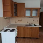 Rent 1 bedroom apartment of 35 m² in Chomutov