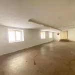 Miete 1 Schlafzimmer wohnung von 99 m² in Vienna