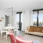 Rent 1 bedroom apartment in Antwerpen