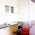 Rent 1 bedroom apartment of 31 m² in Brno