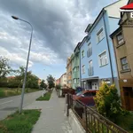 Rent 1 bedroom apartment in Brno