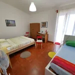 Rent 2 bedroom apartment of 110 m² in Tropea