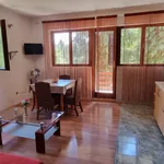 Rent 1 bedroom apartment of 50 m² in Grabovac