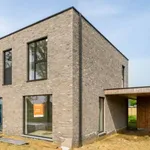 Huur 3 slaapkamer huis van 376 m² in BERINGEN