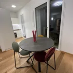 Rent 1 bedroom apartment of 65 m² in Milano