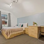 Rent 5 bedroom apartment in Yorkshire And The Humber