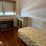 Alugar 3 quarto apartamento em Porto