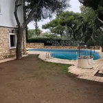 Rent 1 bedroom house of 350 m² in Penteli Municipal Unit