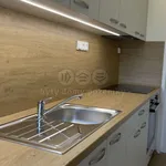 Pronajměte si 3 ložnic/e byt o rozloze 75 m² v Olomouc