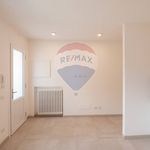 Porzione di casa in Affitto Viadana 33631032-78 | RE/MAX Italia